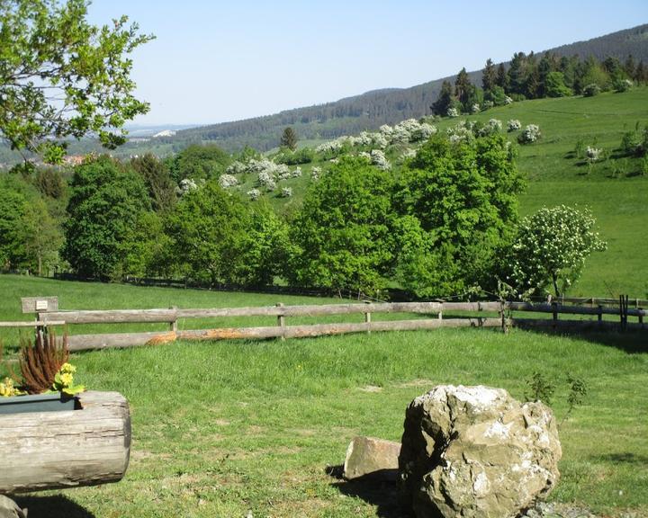 Steinberg Alm Zum Rosner